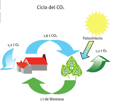 ciclo-co-biomasa